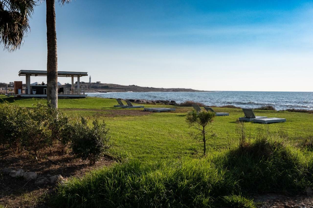 Seaview 3 Bedroom Kings Road Penthouse Pafos Dış mekan fotoğraf